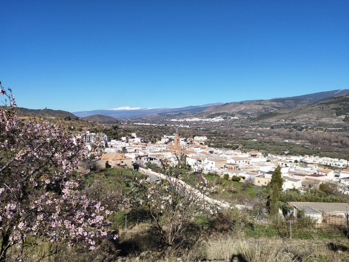 Los Olivos De Fondón Exteriér fotografie