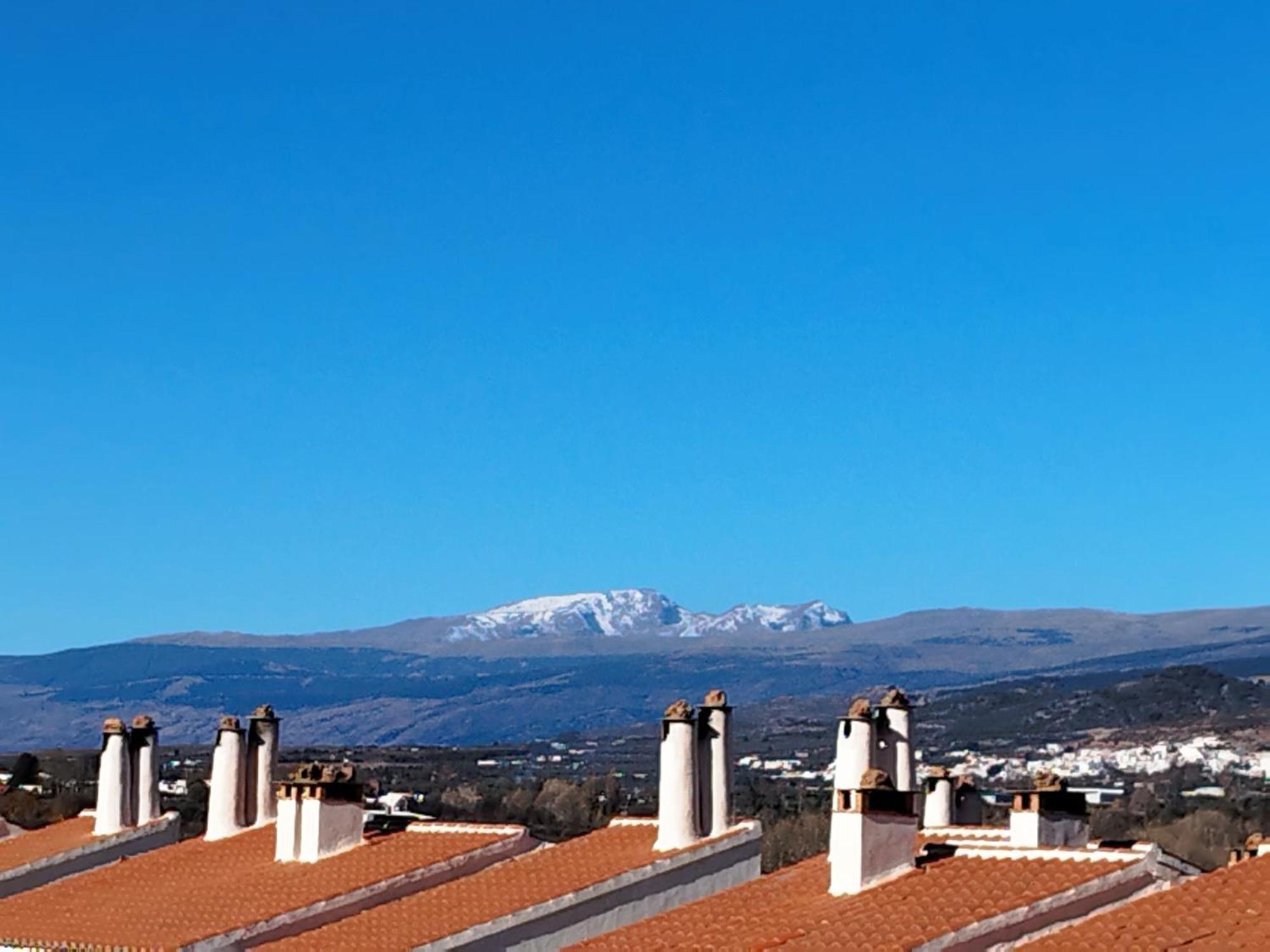 Los Olivos De Fondón Exteriér fotografie