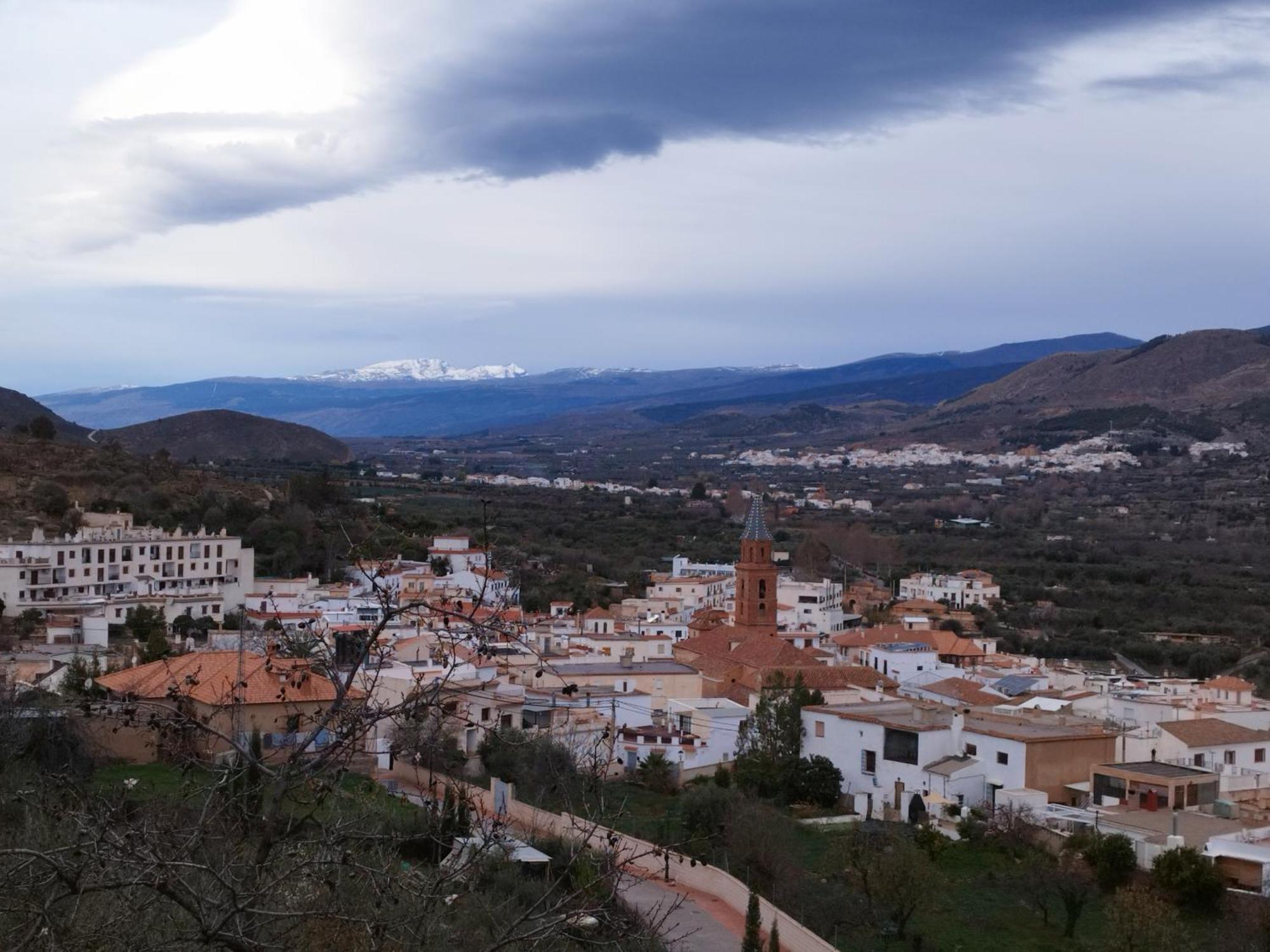 Los Olivos De Fondón Exteriér fotografie